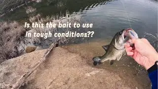 Early Spring Bass Fishing in Socal San Diego Loveland Reservoir( Tough Condition)