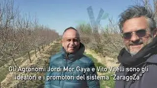 SPAGNA MANDORLO MAKAKO vs PENTA