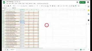 Google Sheets Beginners: Filter  (38)