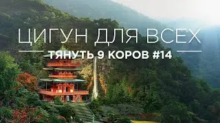 ЦИГУН ДЛЯ ВСЕХ - ТЯНУТЬ ЗА ХВОСТ ДЕВЯТЬ КОРОВ #14
