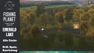 Fishing Planet - Emerald Lake Common Shiner Pose / 50cm / #8 Haken / Regenwurm