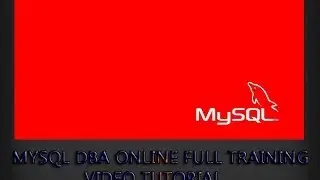 MySQL Database Tutorial   27   How to Insert Multiple Rows