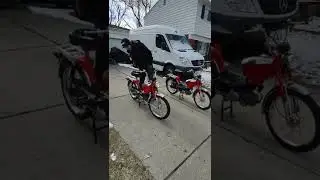 1978 Jcpenny Pinto pair. Bring a Trailer.
