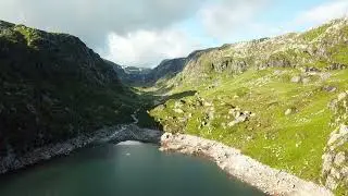 Nature Montage