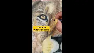 Как пользоваться акварельными карандашами🤔#акварельныекарандаши #акварельныйкарандаш #акварель #а...
