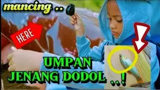 MANCING UMPAN JENANG DODOL#mancingiwakcilik #gadiscilikmancing