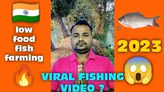 Low food fish farming (Hindi) Video 2023 [9123719330]