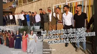Diyar Herki Hakkari Merkez Talısi Aşireti Dügünü