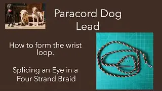 ET#38. Paracord Dog lead. Four Strand braid. How to splice an eye - tutorial DIY Handle wrist loop.