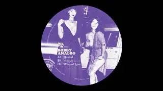 Bobby Analog - Warped Love