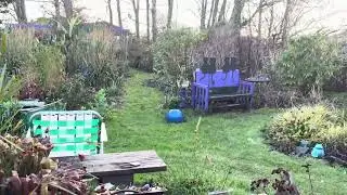 Winter Garden Patio 