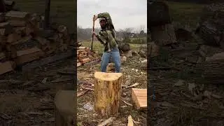 24&rdquo; solid oak SPLIT&hellip;. #satisfying #asmr