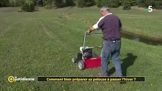 Comment bien préparer sa pelouse à passer l'hiver ? - La Quotidienne