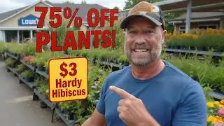 Lowe&rsquo;s 75% Off Plant Sale!
