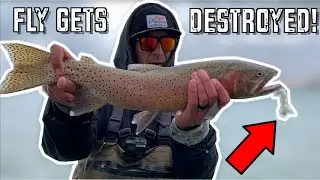 They DESTROYED My Fly! | Using a Fly on Spinning Gear | Pyramid Lake Part 2