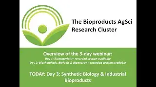 Day 3: BIC's Bioproducts Cluster Webinar