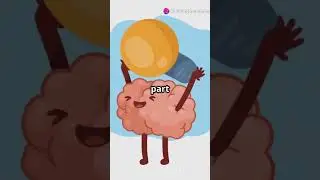 Your Brain Predicts the Future&hellip; Here&rsquo;s How 😳🧠 #neuroscience #shorts
