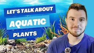 Let's Talk about Aquatic Plants