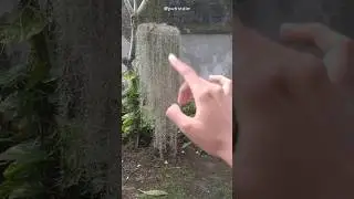 #ASMR Tapping & Scratching Objects layered sounds