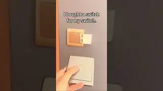 Logic 100: Controlling a switch with a switch 🧠💡