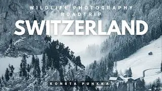 Wildlife Photography Europe Roadtrip Part 5 I Wild Switzerland Mountains & Waterfalls