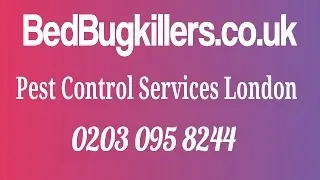 Bed Bugs Killer Edmonton