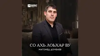 Муха со вехар ву