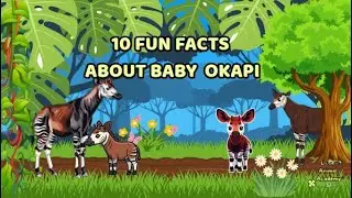 10 FUN FACTS ABOUT BABY OKAPI