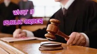 What Is Public Order In Constitution ?