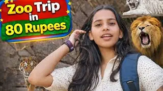 Exploring the Zoo| Wildlife Up Close 🦁Zoo  l| Animals, Nature & Fun A Beautiful Day at the Zoo|Vlog👍