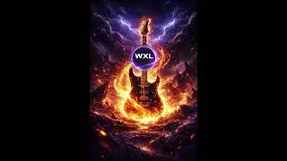WXL - For You