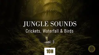 10h Jungle Sounds - Crickets, Birds, Rain & Distant Waterfall  | Black Screen Sleep Ambience