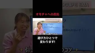 【犬 噛み癖・甘噛み】オモチャじゃなくて手を噛んでくる！理由としつけ方！犬のしつけエマチャンネル！【犬のしつけ＠横浜】 #犬しつけ#横浜しつけ教室 #犬遊び方