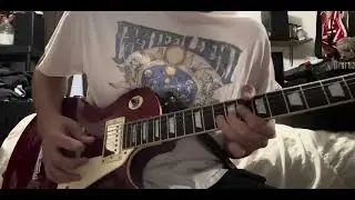 Cat Scratch Fever - Ted Nugent solo cover 