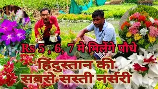 हिंदुस्तान की सबसे सस्ती नर्सरी, यहाँ पर 5 , 6 ,7 रुपये में मिलते हैं परमानेंट फूलों के पौधे Nursery