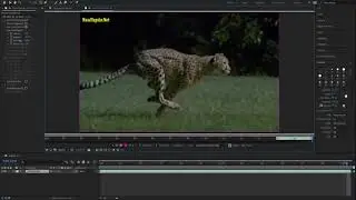 Rotobrush Problem