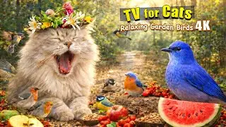 🎬 Cat Game TV 😺🐦 1.5 Hours Endless Birds & Fruits | Cat TV 4K for Cats to Watch & Play