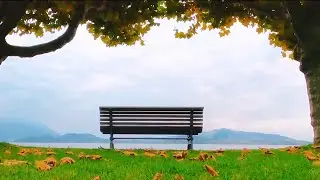 A peaceful day relaxing on a bench, relaxing park ambience