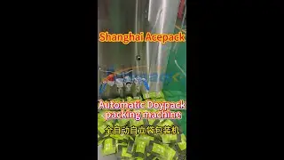 Shanghai Acepack Doypack Packing Machine -Filling machines