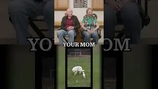 Dr. Pol Reacts &ndash; Mistaken Identity? This Lamb Thinks the Dog&rsquo;s Its Mom! 🤍🐑 #drpol #funnyanimals