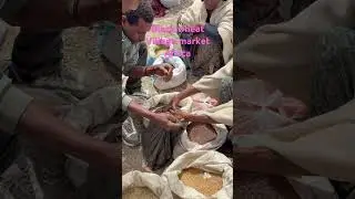 #Black wheat #villagevlog , #africa ,#travelblog #ethiopia #afdera #mekelle