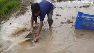 Unique Hand Fishing video. A Smart Boy Catch Catfish By Hand In  Bill. Best Fishing 2024
