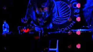 Teebs - Arthur's Birds Live in NYC