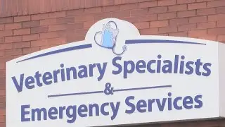 Brighton emergency vet reducing hours, cites nationwide staff shortage