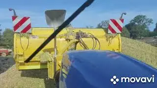 Ensilage 2023 ! #newholland #ensileuse #class #case #ensilage #silo