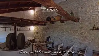 Oleoturismo nel Golfo di Gaeta: Masseria Zenobio