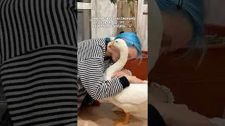 Мы уверены, вам это интересно!