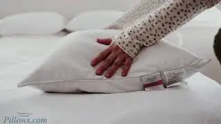 Down Dreams Classic Firm Pillow