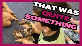 Spend the Weekend With Us | Zoolab, Charity shop Haul, & Frugal Fun #ditl #budgetfriendly
