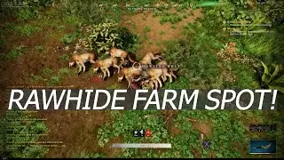 New World Rawhide Farm Spot! 1k rawhide per 10 minutes!
